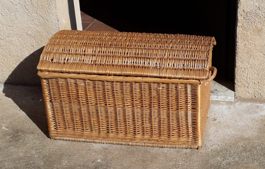 Disfraces falaces, nueva colección