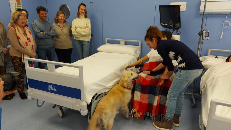 Los perros, grandes aliados para combatir el Alzheimer y la demencia