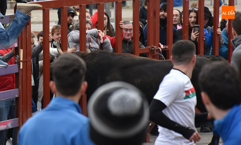 Un toro de Torrealba engancha a una espectadora en el largo y peligroso último encierro