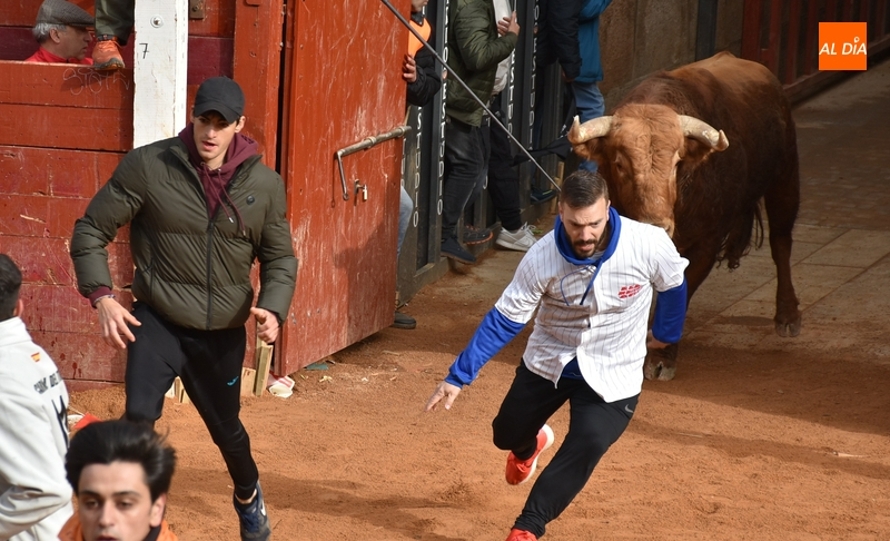Encierro limpio y correcto de los astados de El Pilar, entre los que hubo una baja de última hora