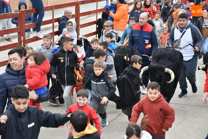 Carnavaldeltoro.es sigue creando cantera con corredores de cada vez más corta edad