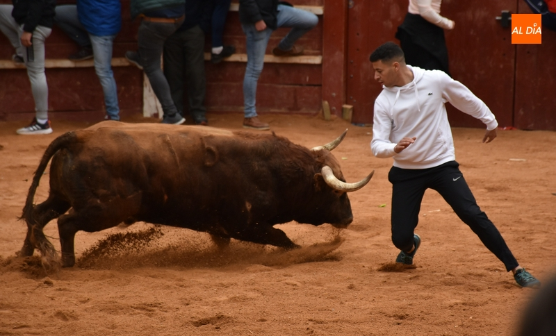 Una capea menos vistosa salvo por varios referentes da paso a un desencierro con cuatro toros