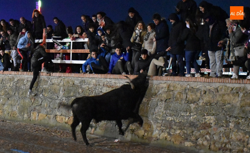 Limpia pero floja tarde final en materia taurina con sólo 1 toro bajando en el desencierro