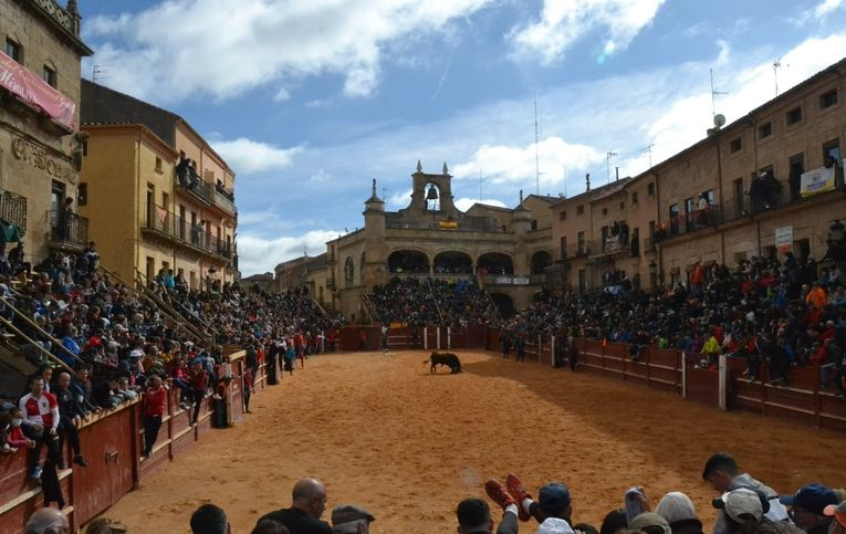 Programa íntegro del Carnaval del Toro 2023