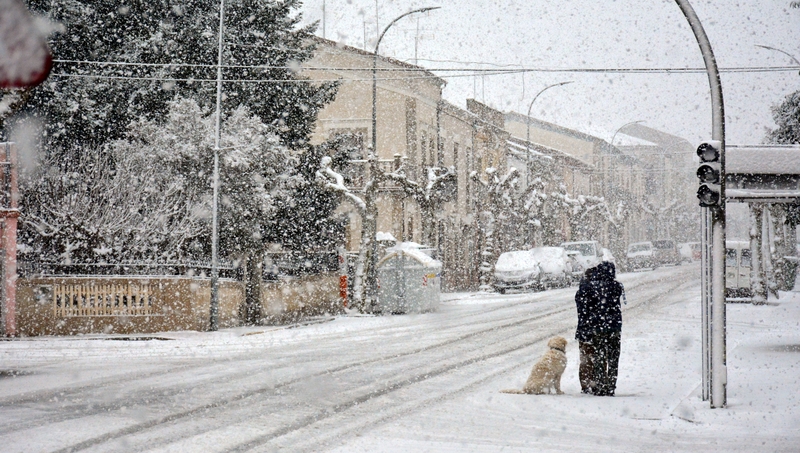La nieve cubre buena parte de los municipios de las Arribes