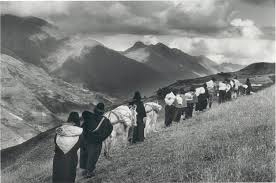 Éxodo y emigración