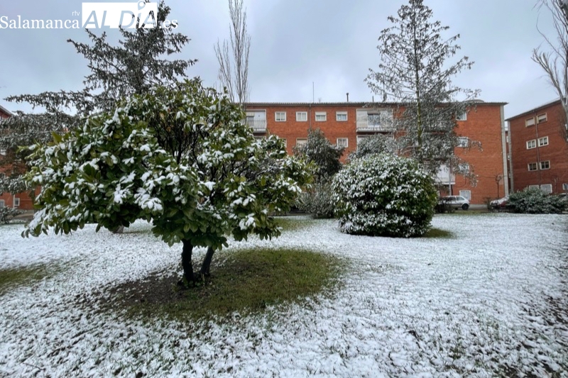 La nieve llega a Peñaranda con estampas invernales y sin generar problemas