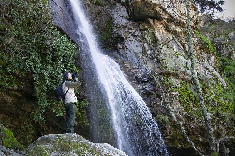 El cazador de imágenes 