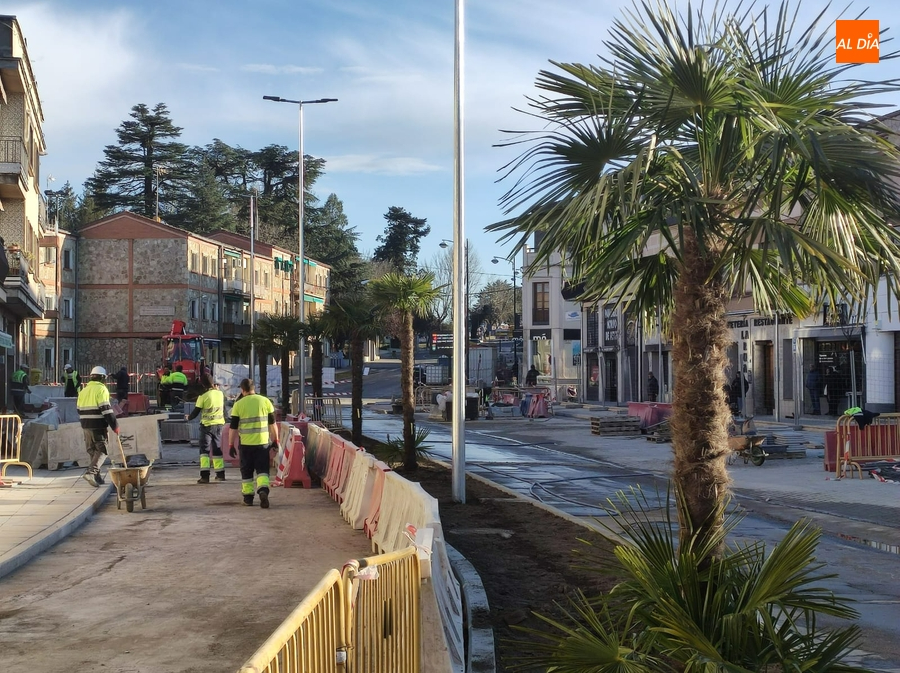 Plantadas las primeras palmeras de la ‘nueva’ Avenida de España