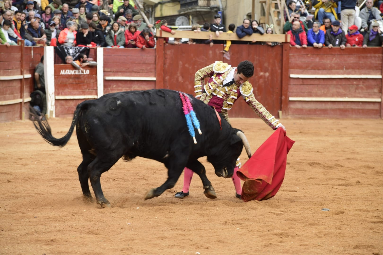 Valentín Hoyos sufre una cornada envainada en el muslo