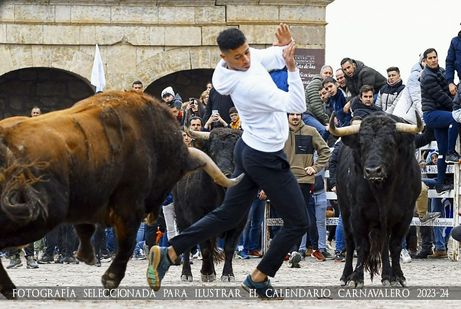 Elegidas las 12 fotografías que integrarán el Calendario Carnavalero 2023/2024