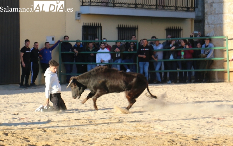 Concurrida capea de vaquillas en Corporario para celebrar San Blas
