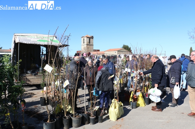 El frío no impide una excelente afluencia de público al mercadillo de Trabanca