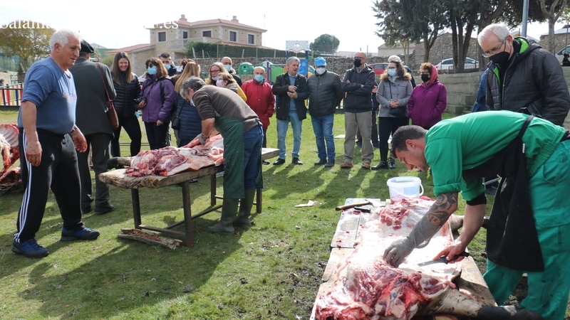 Cipérez celebrará este sábado una nueva Fiesta de la Matanza Tradicional