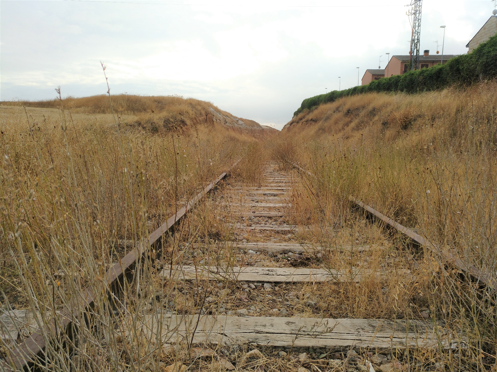 La necesidad de vertebrar el Oeste por tren