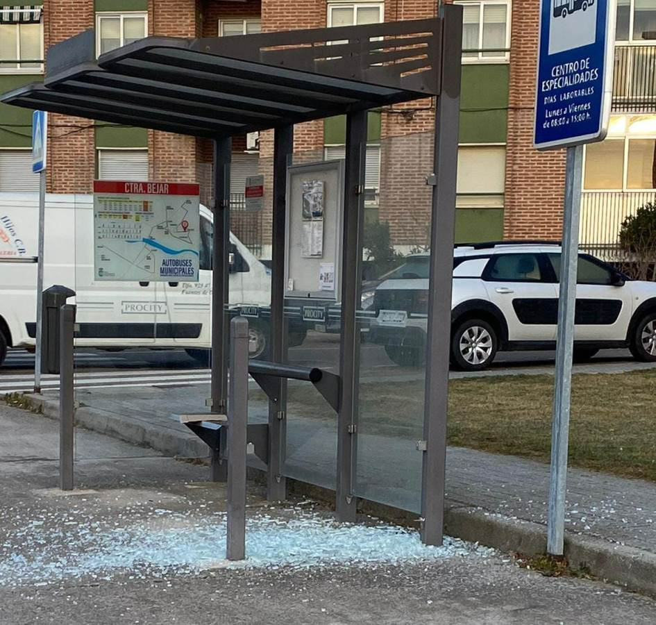 Destrozado un cristal de una marquesina del bus urbano