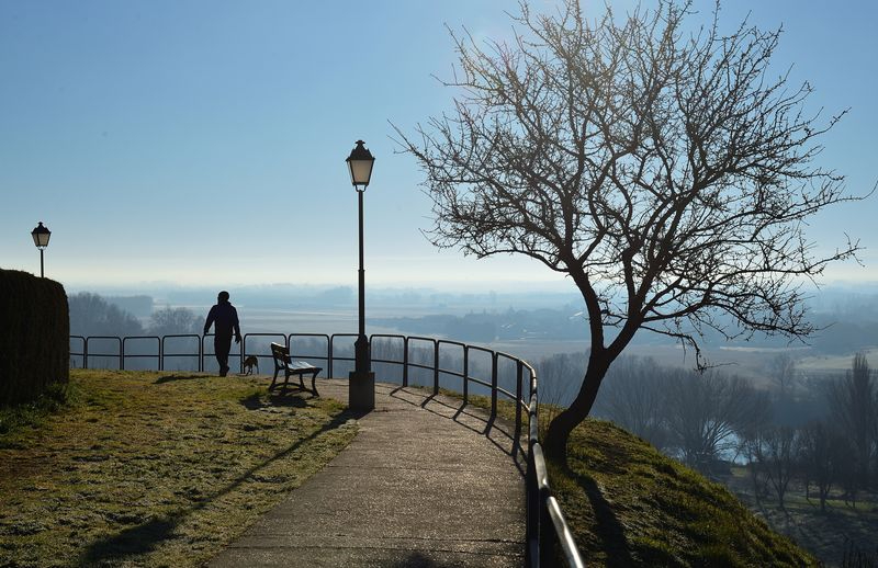 El paseo matutino, puro gozo