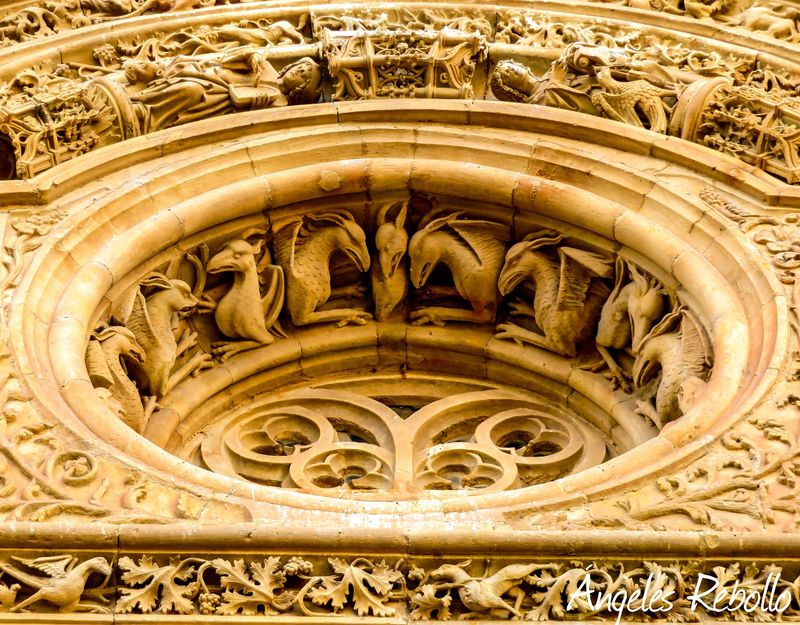 Criaturas inadvertidas