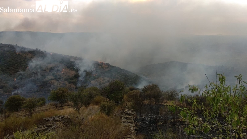 El Gobierno ayuda a los afectados por los incendios forestales de este verano en Castilla y León