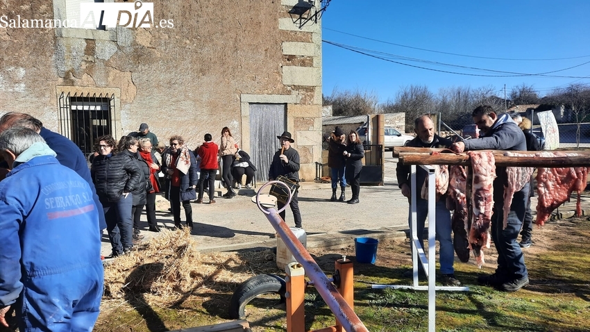 Lección matancera en Fuenteliante durante la Fiesta de la Matanza Tradicional