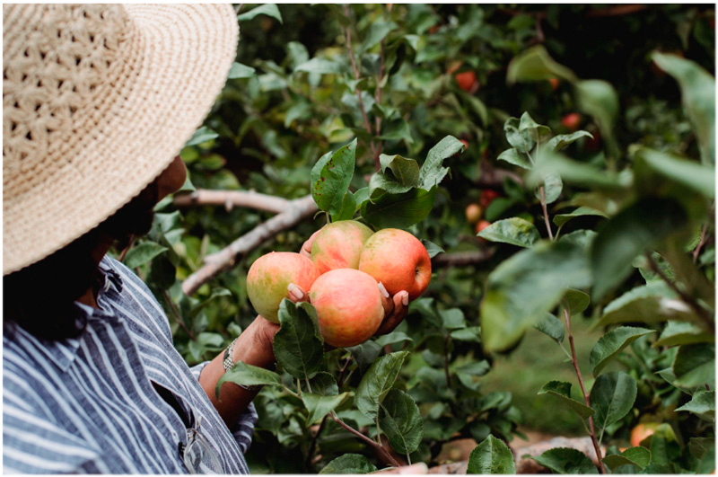 ¿Qué son los cultivos sostenibles?