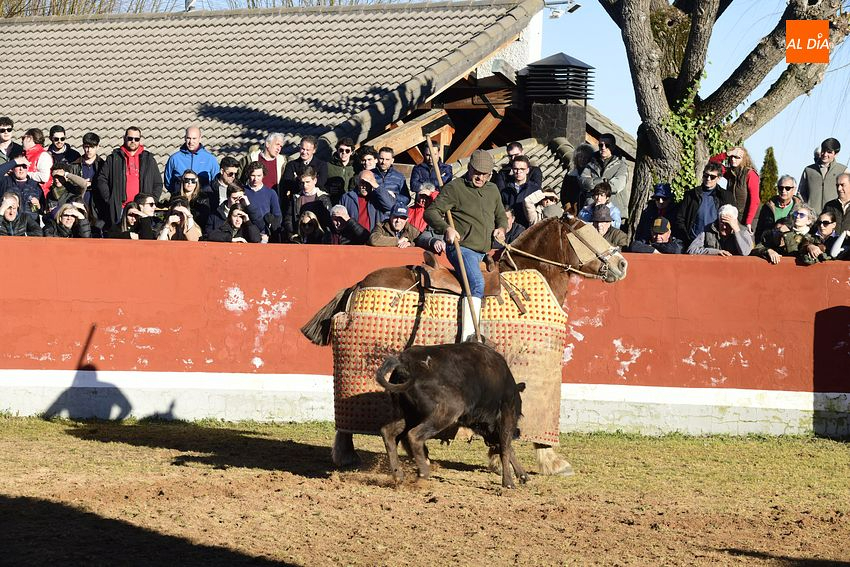 Doce novilleros acceden a la semifinal del Bolsín 2023