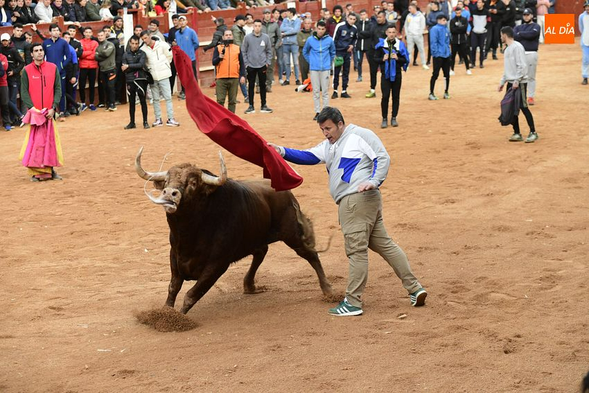 Un fugaz desencierro completa una gran jornada de los astados de Villanueva