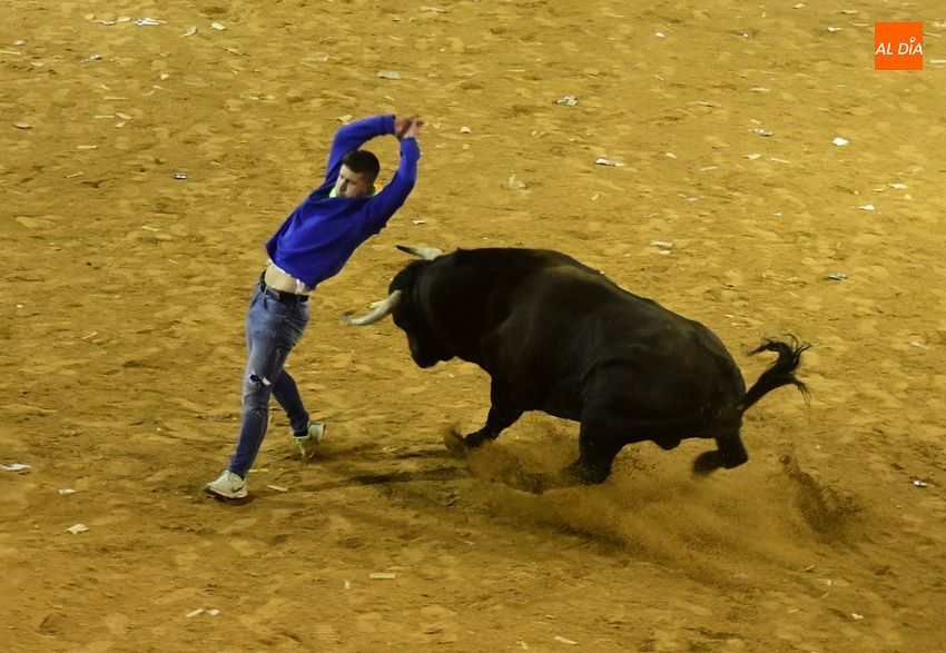 Los toros de José Cruz abren el fuego dando oportunidades a recortadores y maletillas