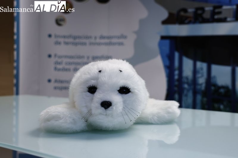 Llega a Salamanca el robot que mejora la calidad de vida de las personas con demencia