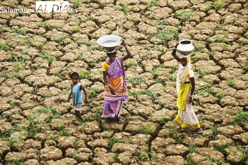 Transversalidades, las fotografías de artistas diversos países en el Museo de Salamanca