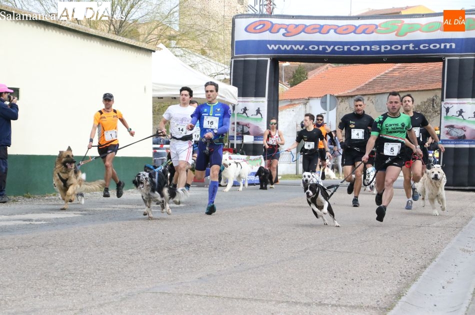 Alba de Tormes anuncia su segundo Canicross para el 12 de marzo