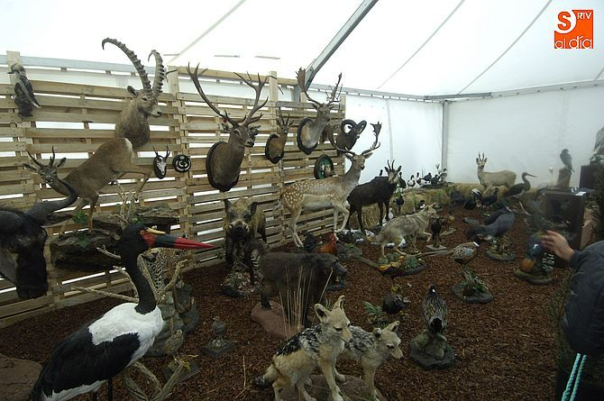 Cita en Vilar Formoso desde este viernes con la 14ª Feria de Caza, Pesca y Desarrollo Rural de Almeida