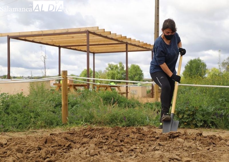 Si te adjudicaron un huerto urbano, tienes que solicitar la prórroga anual
