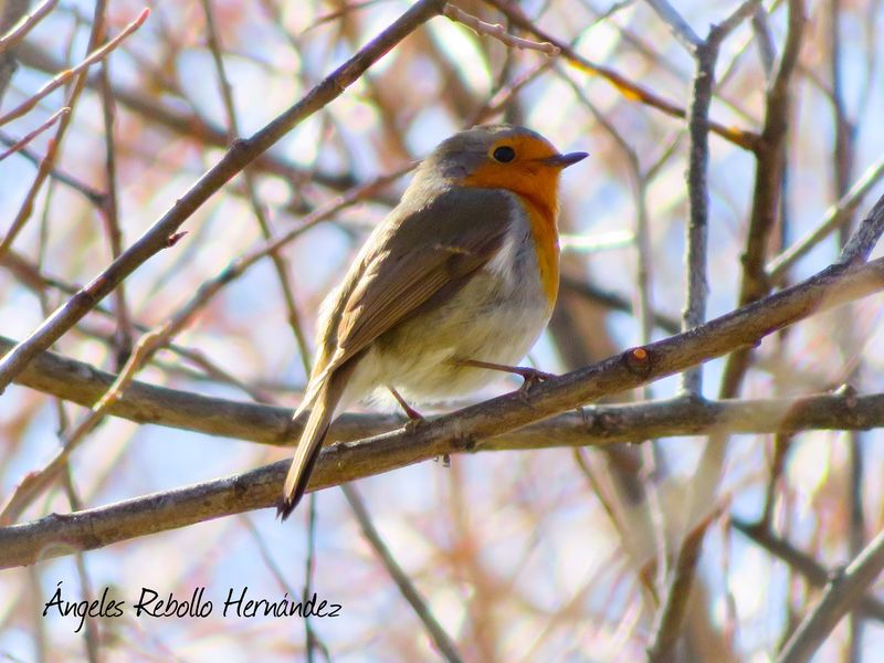 Otro día en la oficina 