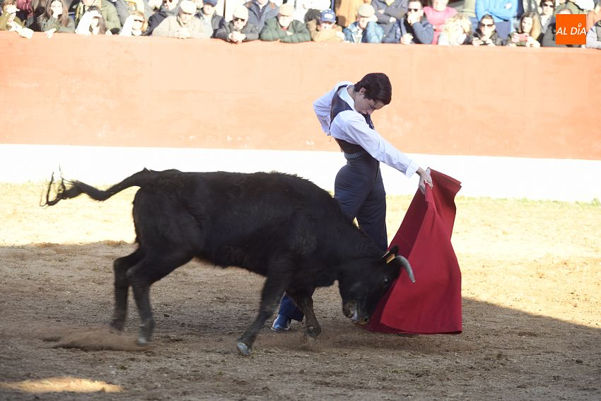 Diez novilleros, entre ellos tres salmantinos, disputarán la Gran Final del Bolsín