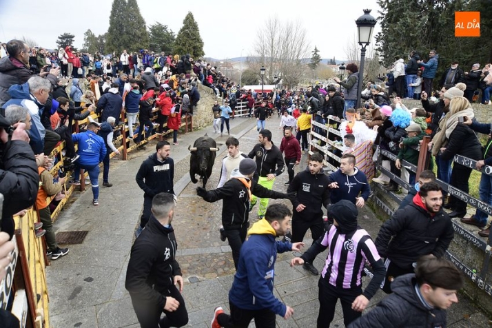 Dos heridos de relevancia, uno por asta de toro, en el disgregado primer encierro urbano del Carnaval