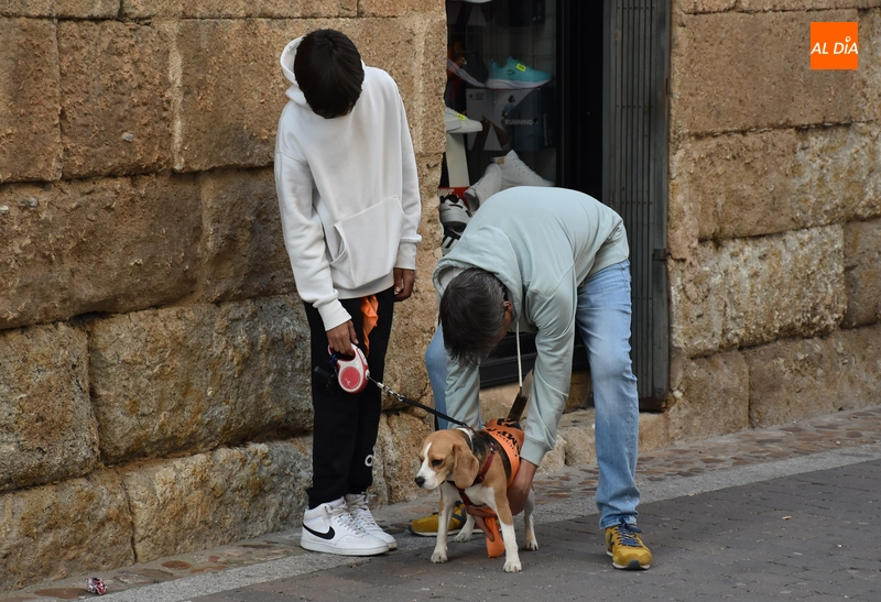 Las últimas miradas y sonidos del Carnaval del Toro 2023