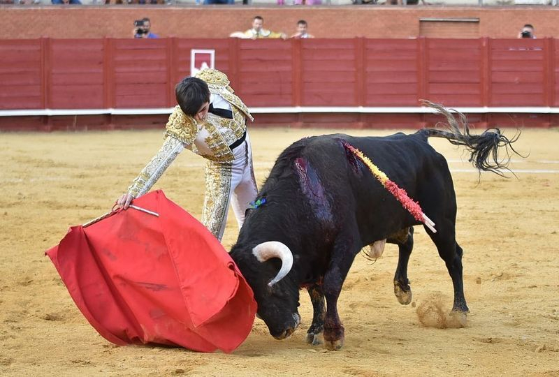 El salmantino Jesús de la Calzada comienza su andadura en el Circuito de Novilladas de Madrid este sábado