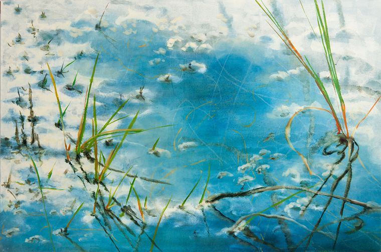 El caborzo de la pintora Ana Zaragozá