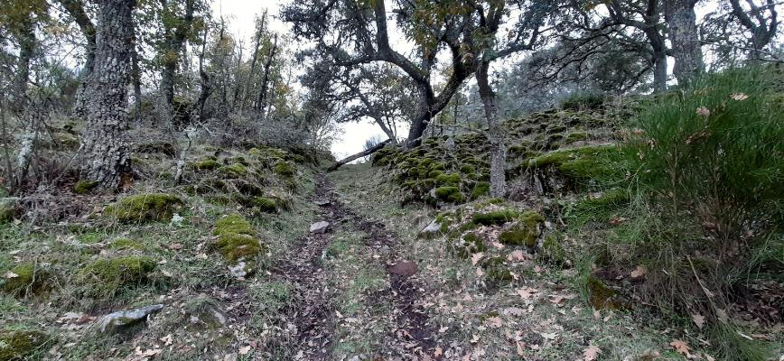 El castro de Los Castillos de Gema