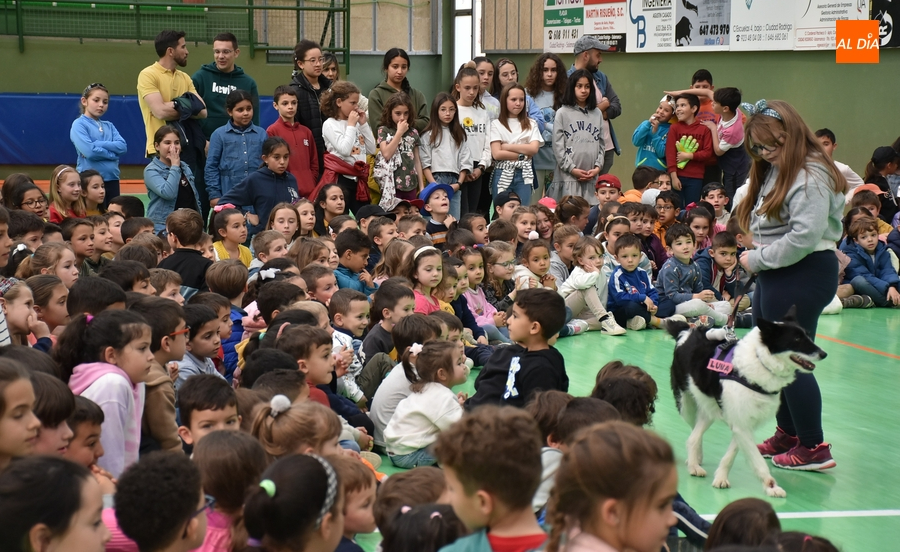 Los alumnos de San Francisco cierran el trimestre llevando a sus mascotas al cole