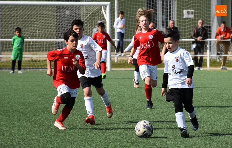 El Benjamín B del Ciudad Rodrigo deja en 18 partidos su espectacular racha sin hincar la rodilla