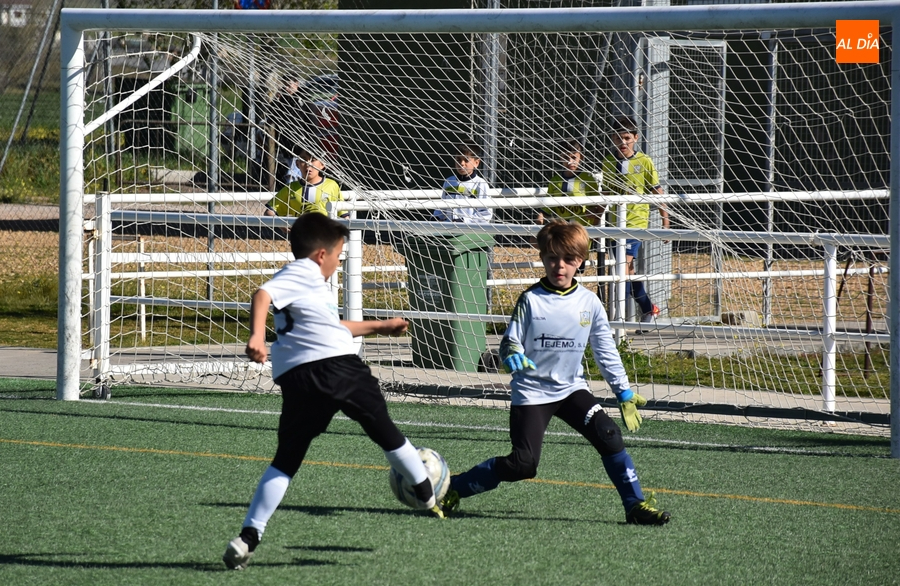 El Benjamín A del Ciudad Rodrigo se coloca líder provisional tras asegurar el ascenso la semana pasada