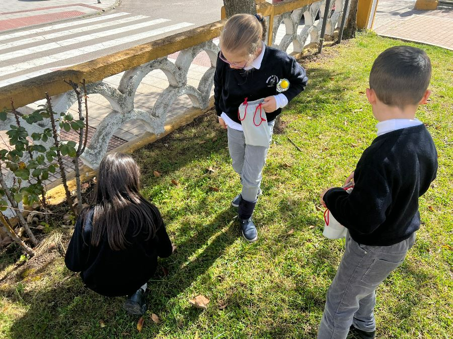 Alumnos de Misioneras crean su propio herbolario