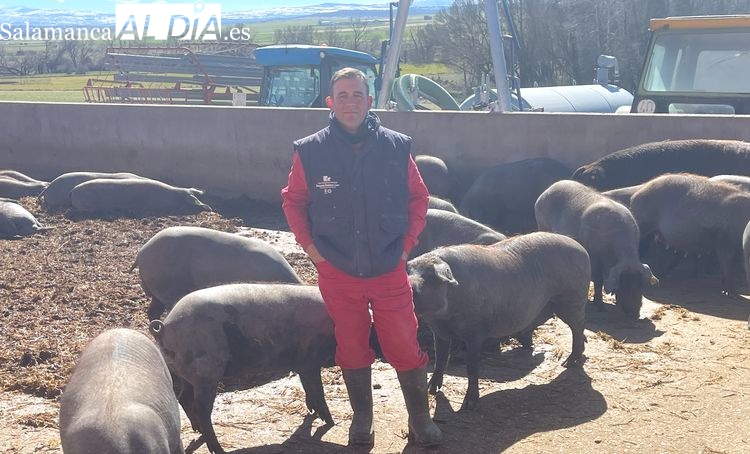 Los ganaderos salmantinos, al límite: Los costes de producción son insostenibles, estamos con la soga al cuello