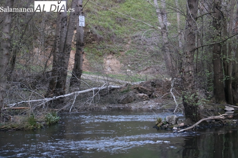 Obstruido el paso inundable del Tormes en Ambasaguas en la zona de Fermoselle