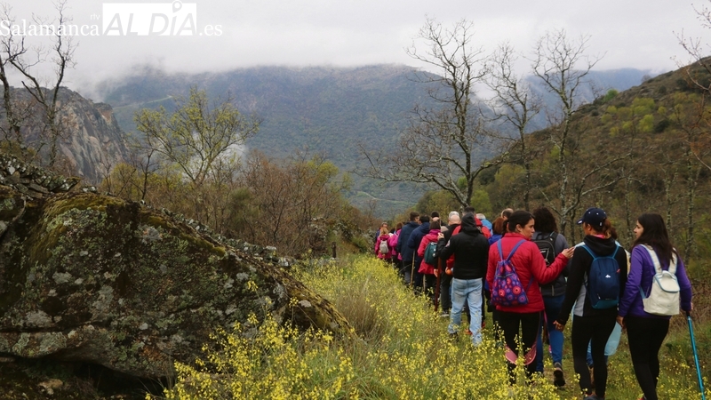 Todo dispuesto en Mieza para la XXVI Ruta de Senderismo Arribes del Duero
