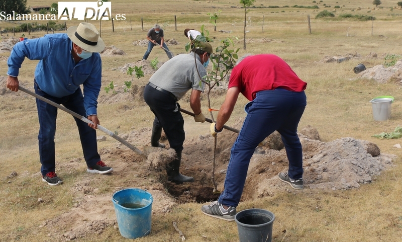 Saldeana plantará ‘Un árbol por la igualdad’