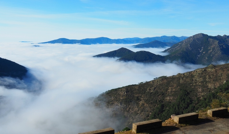El cielo en la tierra 