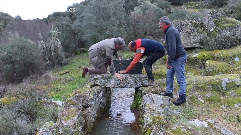 Molino de la Luisa en Vilvestre, el principio de la energía hidroeléctrica siglos antes del primer generador